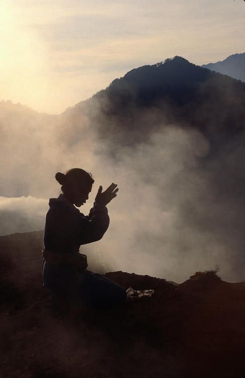 The Tao of Wellness: Cultivating Vitality Through Taoist Wisdom