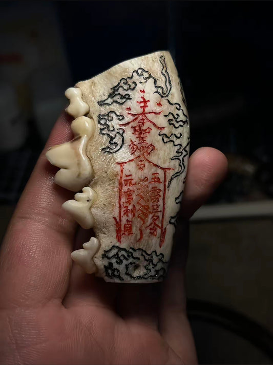 Dog-Patterned Protective Ornament