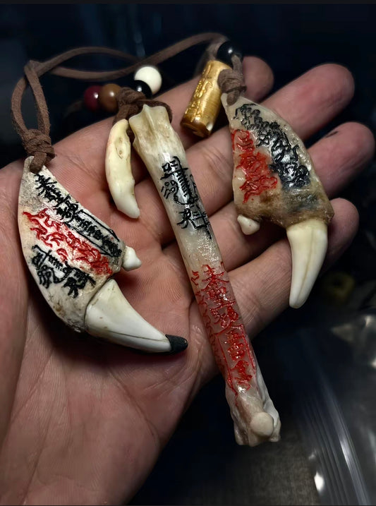 Large Canine Tooth Protection Necklace - Quantum Energy Amule