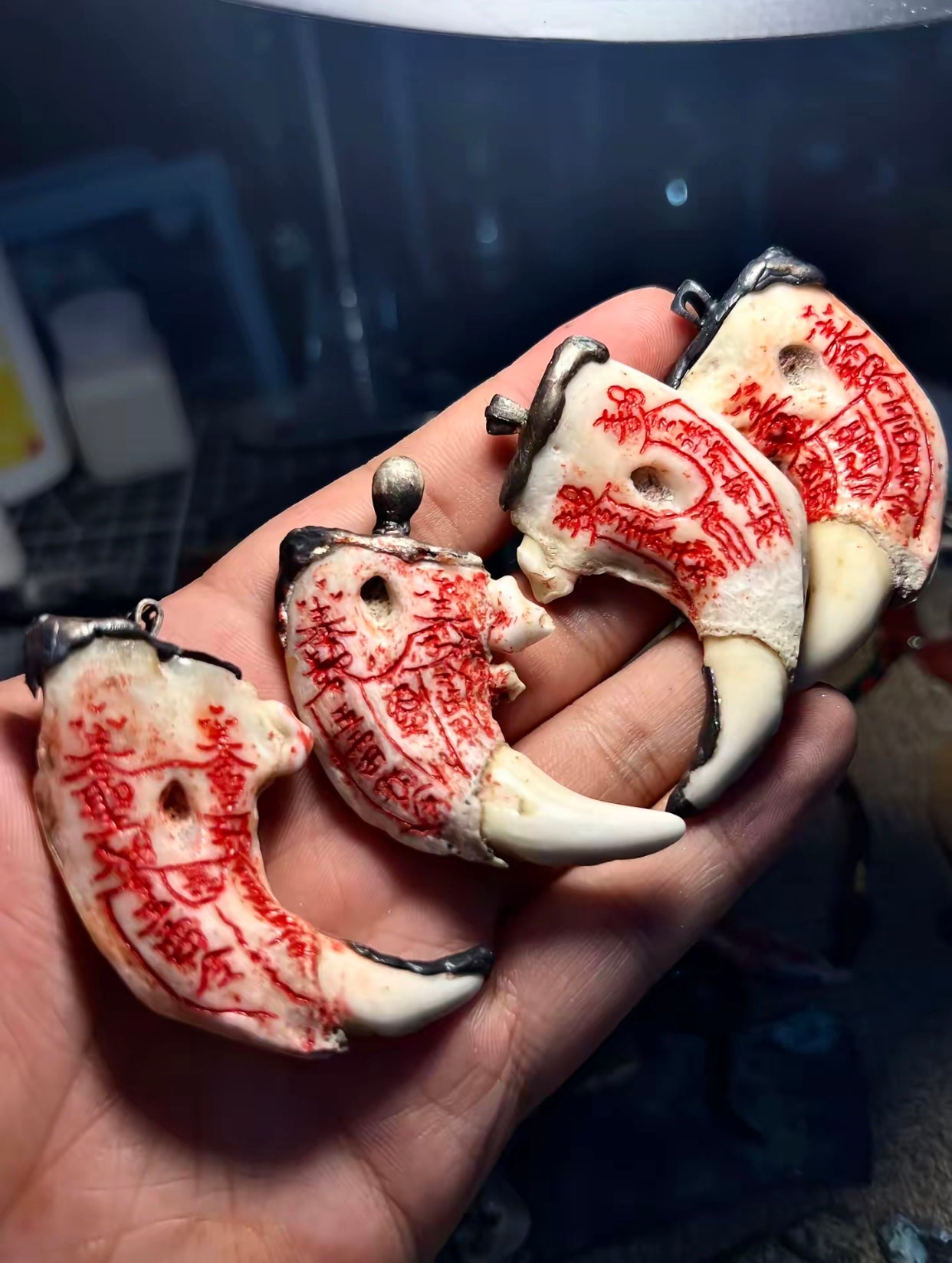 Large Canine Tooth Protection Necklace - Quantum Energy Amule