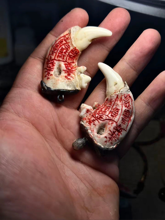 Large Canine Tooth Protection Necklace - Quantum Energy Amule