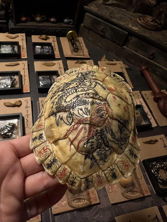 Large White Tortoise Shell - Exorcism Inscribed Divine Shell