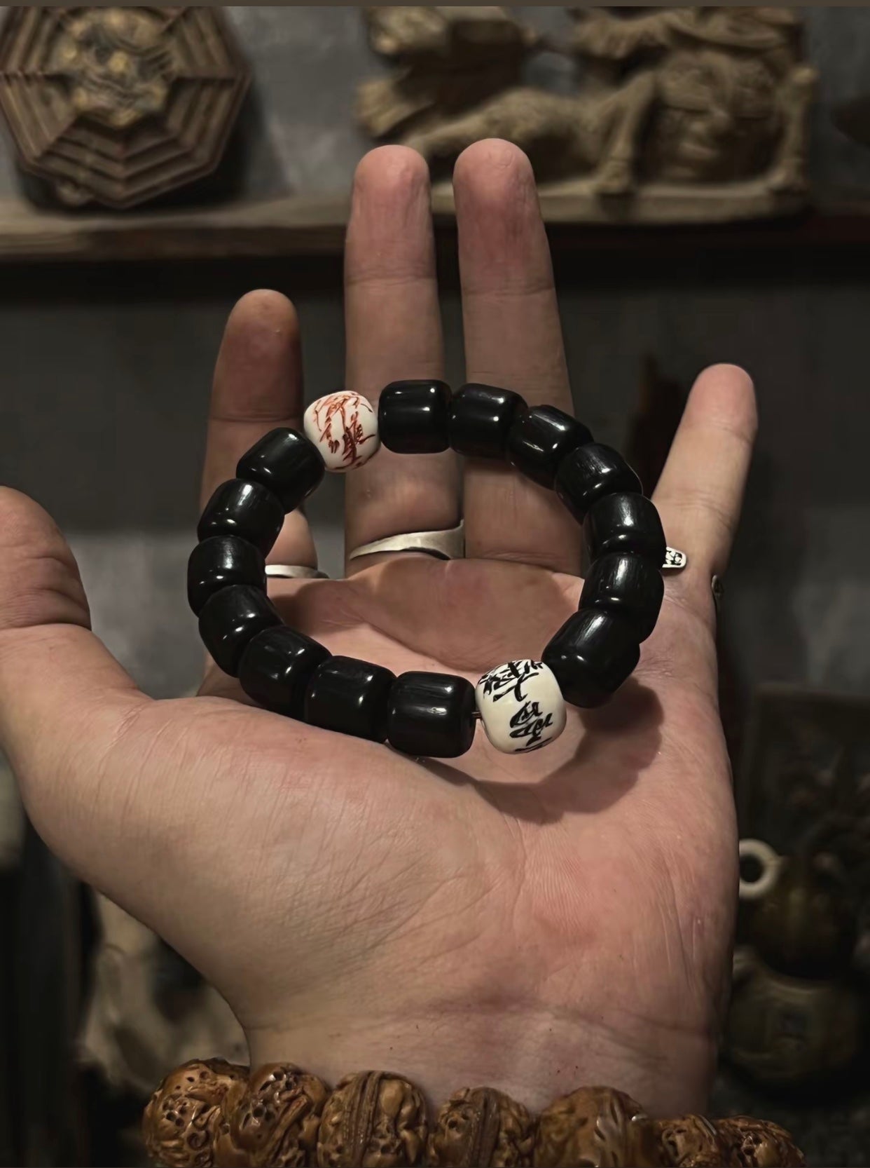 Shazhi Tigang Prayer Beads Taoist Spiritual Meditation Tool Energy Blessing