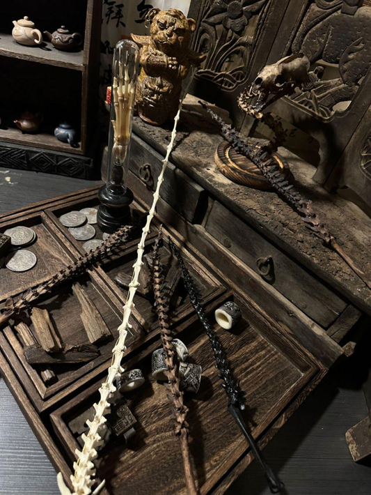 Spinal Sword - Serpent Spine Talisman of Transformation