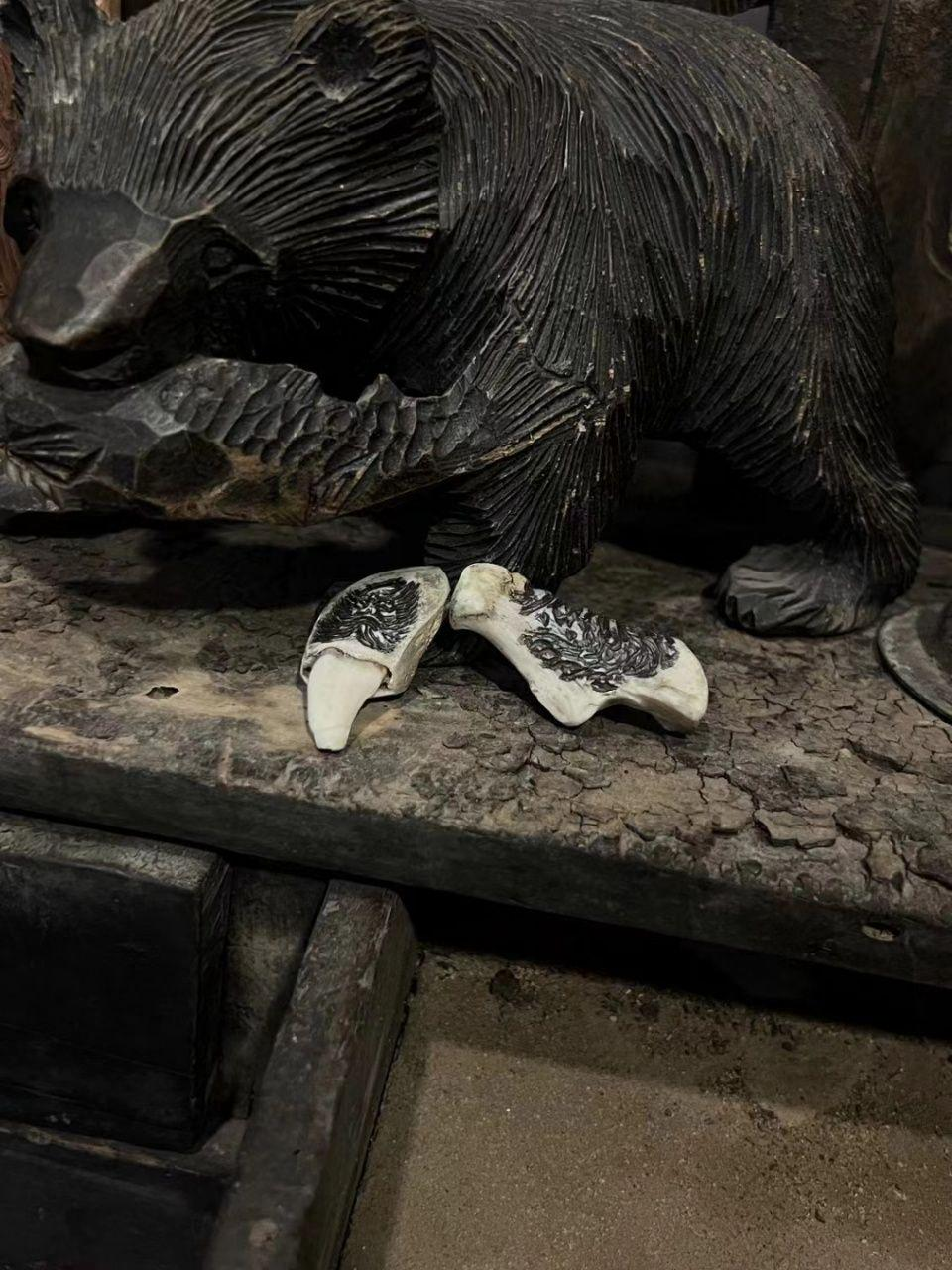 Tibetan Mastiff Tooth Jewelry Authentic Spiritual Guardian Protection Talisman